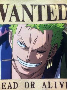 Zoro Wanted Poster