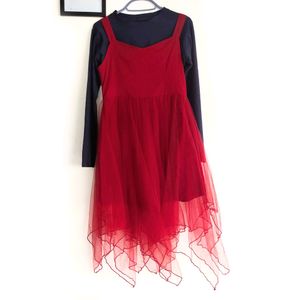 Maroon And Blue Net Dress / Top