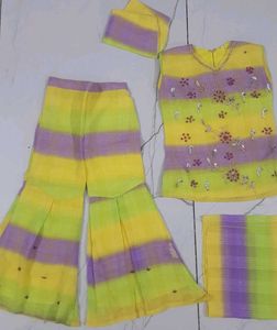 gorgeous gharara/plazzo set