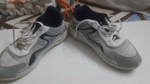Gray &amp; White Fashion Sneakers