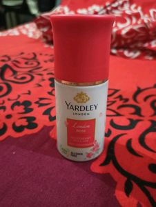 Yardley London Roll On