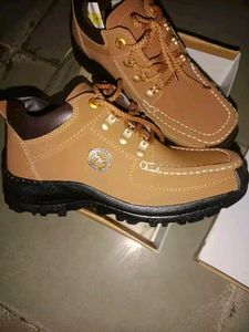 Mens Shoes