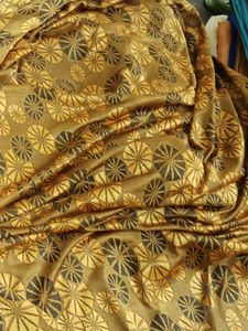 Saree Without Blouse