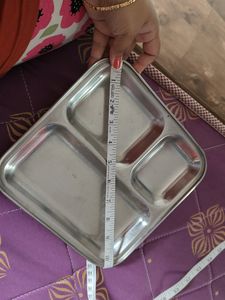Small Steel Plate With 3 Partition
