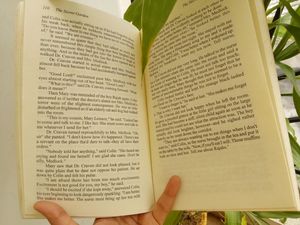 Combo for Kaikobad Damania