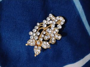 Beautiful Saree Pin❤️❤️