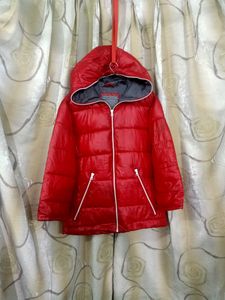CHERRY 🍒 RED PUFFER