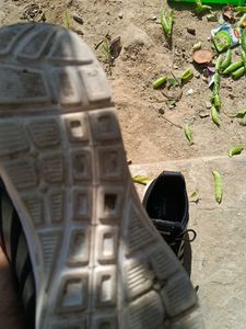 Shoes For Routine Wear