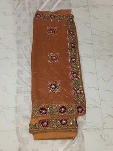 Elegant Embellished Saree
