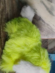 I Am Selling The Dog Teddy Bear Ready For Pick Up