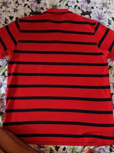 Striped Polo Shirt