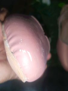 Bellies , New Without Tag