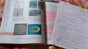 Neet Books