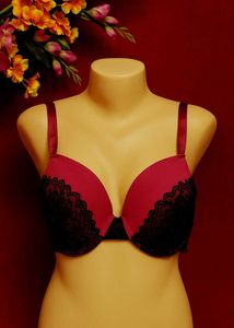 🇳🇿💫🔥 Imported Heavy Paded Sexy Look Bra