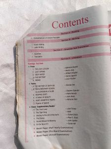 Vidya Question Bank Class 12 English
