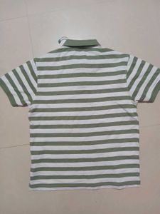 Pure Cotton Lined TShirt For Men 👕