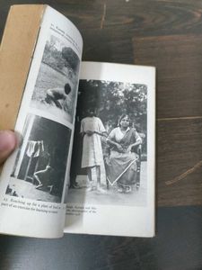The Wolf Children Book