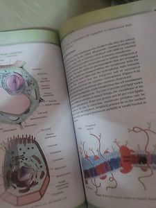 Ncert Class 11 Biology Book Cbse