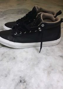 Converse Sneakers