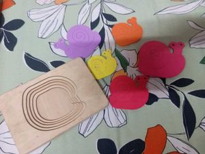 Shadow Matching And Wooden Snail Puzzle