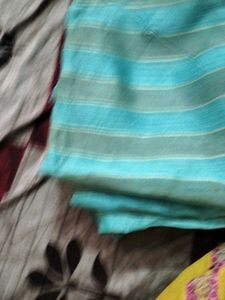 Saree Cover 8 Pics
