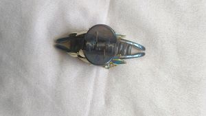 A Grey Hairclip