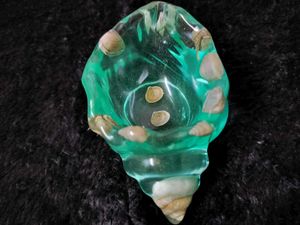 Seashell Showpiece