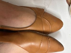 Formal Brown Bellies