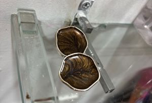Brownish Earrings