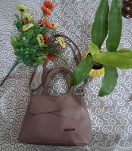 Brownish/beige Classic Taupe Handbag and Sling