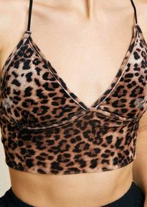 Animal Print Bralette Top