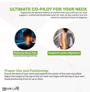 Car Neck Pillow