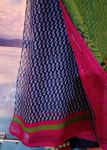 Multi Coloured Saree