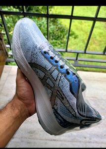 Asics Running Shoes