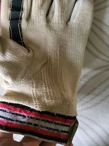 Cricket Gloves N Pad
