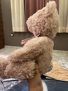 Cute Teddy Bear