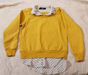 Korean sweater with fake collar