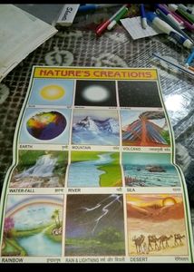 All Charts