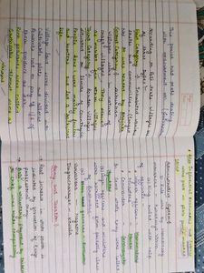 Handmade Ancient History Notes RS Sharma