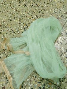 Partywear Crop Top