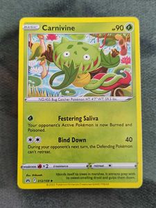 10 Pokemon Cards