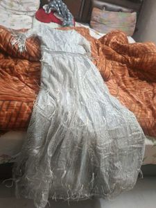 Elegant Silver Embellished Gown