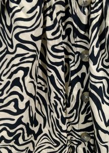 ZARA Zebra Print Aesthetic Dress