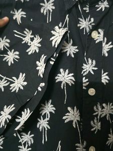 Palm Tree Print Shirt