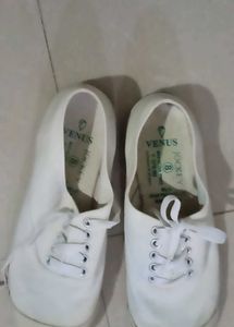 Venus Jockey Canvas Shoes - Size 8