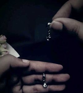 Sparkling Silver Earrings