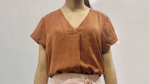 Elegant Brown V-Neck Top