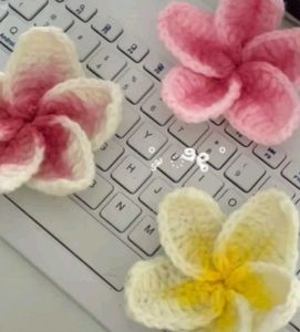 Flower Hair Clip🌺🌷(1)