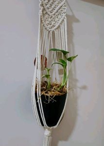 Wall Hanging