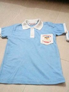 Combo Of School Tshirt